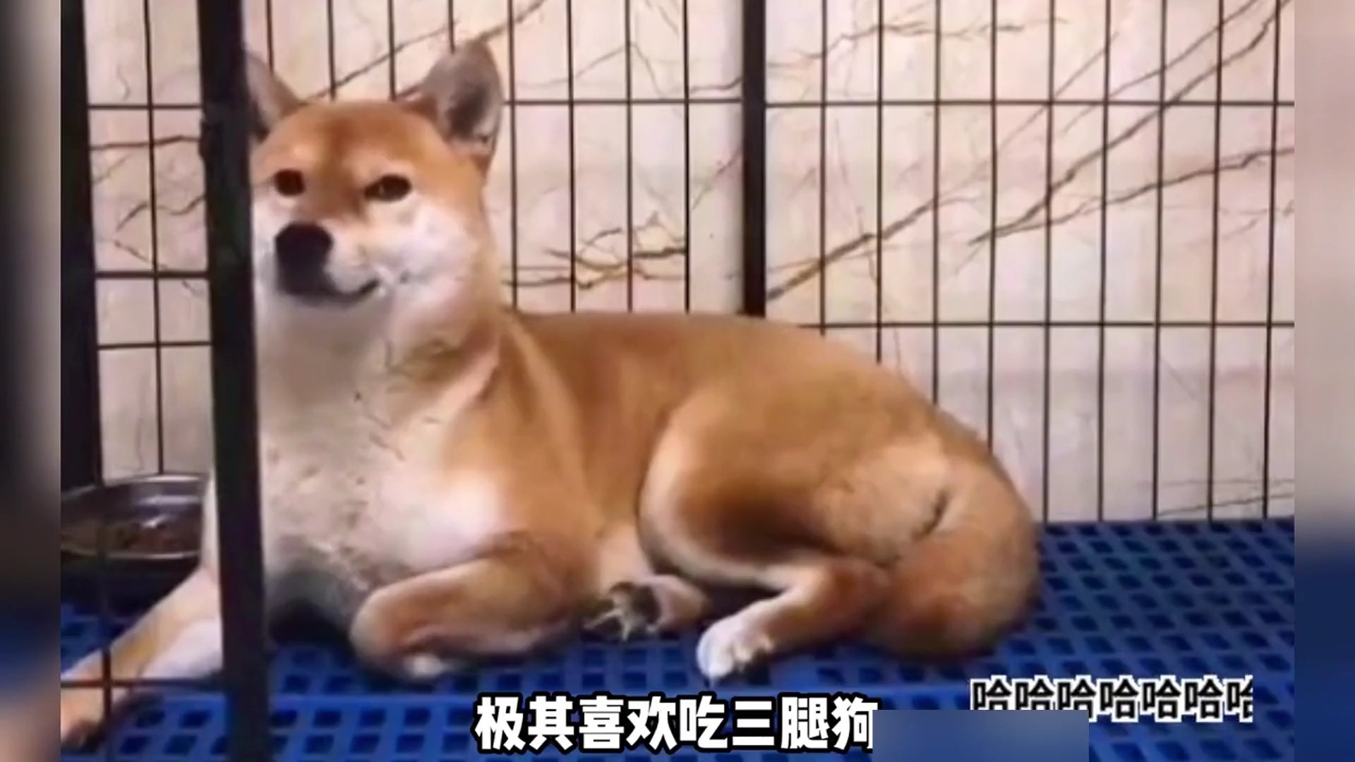 telegram下载手机版_telegram下载手机版_telegram下载手机版