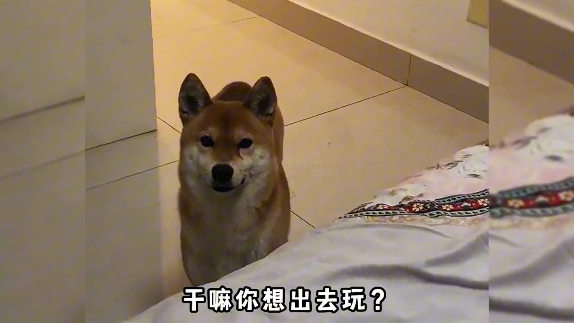 telegram下载手机版_telegram下载手机版_telegram下载手机版